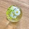 Spring Daisy Maltose Kneading Fun, the same stress-relieving toy kneading foam ball, a prank gift recommended on Xiaohongshu Item Picture